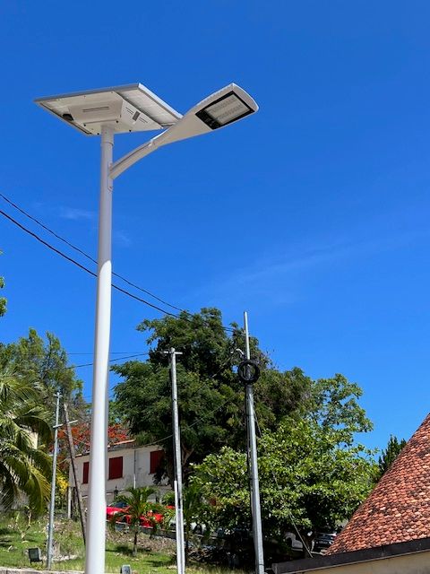 Lampadaire solaire autonome avec panneau et tête LED, végétation tropicale